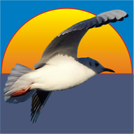 App-Icon